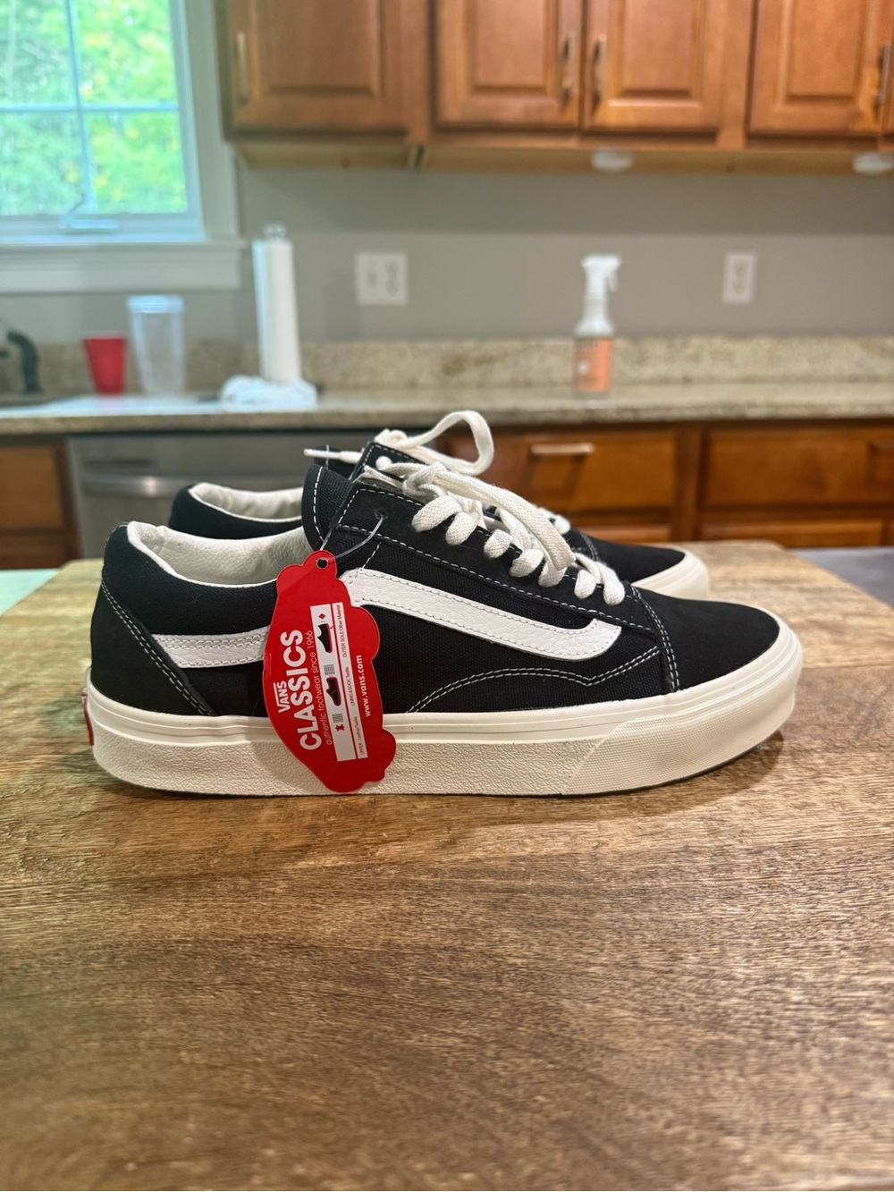 Vans Black and White Low-Top Skate Sneakers